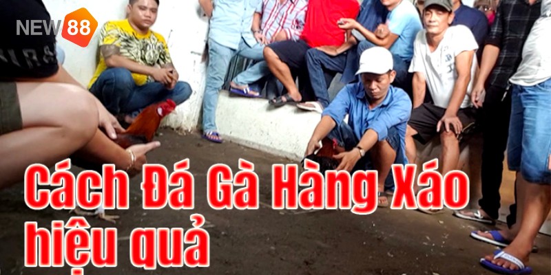 Nghệ thuật đá gà hàng xáo lâu năm