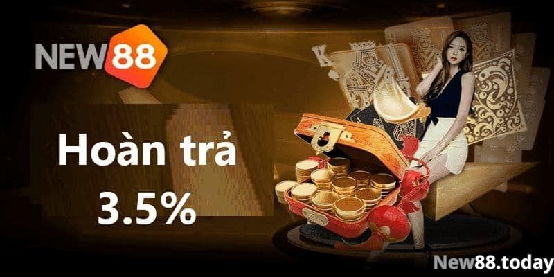 Đâu là nhà cái hoàn trả cược thua cao nhất hiện nay Đâu là nhà cái hoàn trả cược thua cao nhất hiện nay