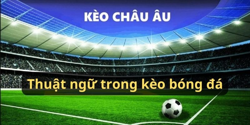 Thuật ngữ trong kèo bóng đá Châu Âu Thuật ngữ trong kèo bóng đá Châu Âu