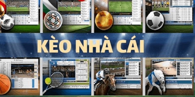 Tuỳ vào mỗi nhà cái mà họ đưa ra các tỷ lệ kèo thích hợp Tuỳ vào mỗi nhà cái mà họ đưa ra các tỷ lệ kèo thích hợp