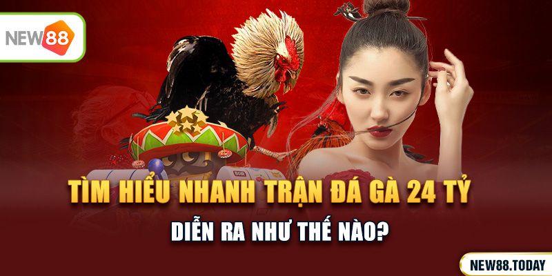 Tìm hiểu nhanh trận đá gà 24 tỷ diễn ra như thế nào?